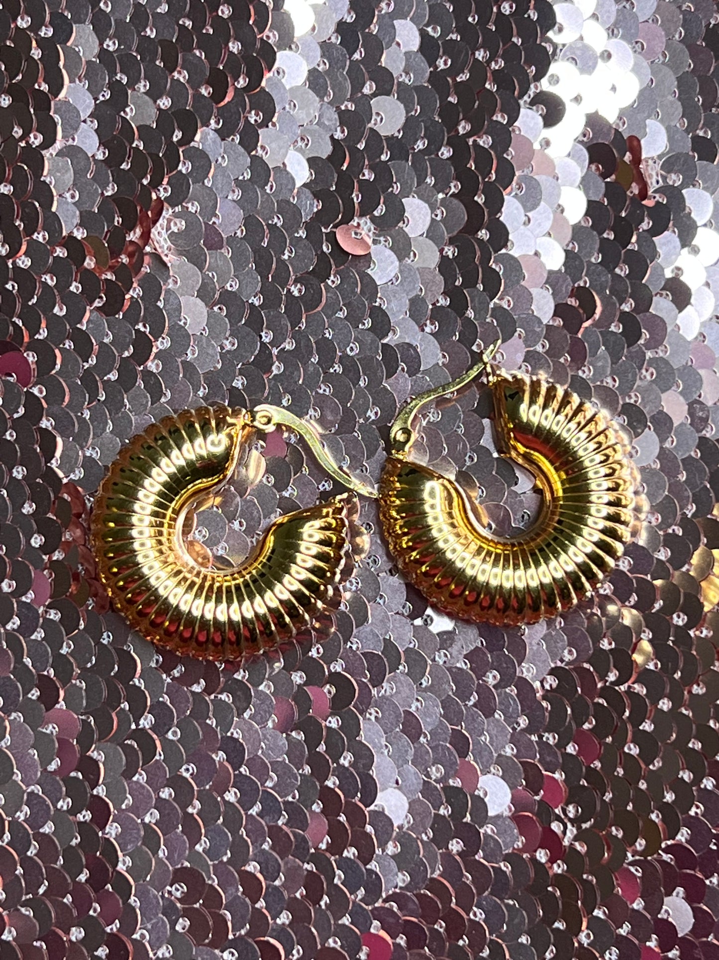 Gold Hoop Earrings