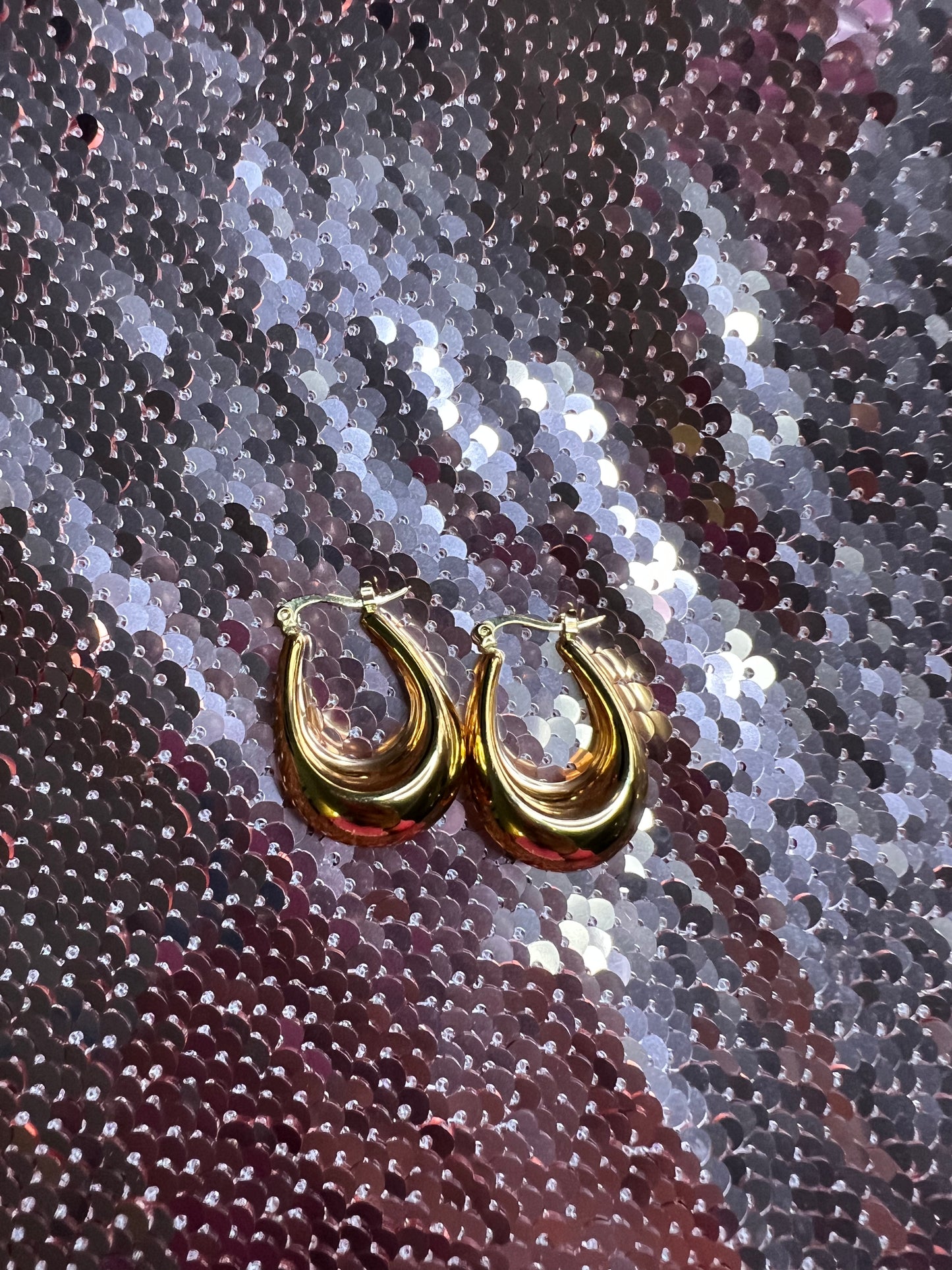 Gold Hoop Earrings