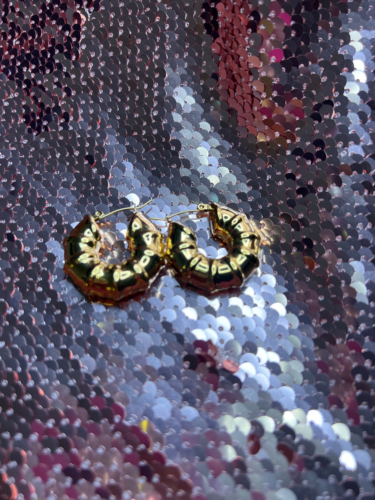 Gold Hoop Earrings
